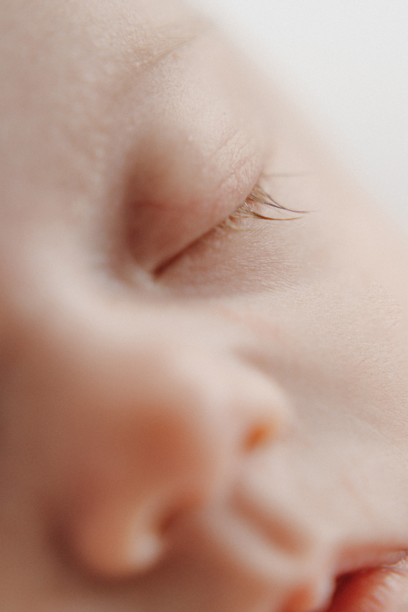 272NewbornFotograafPetitLoupLemmer