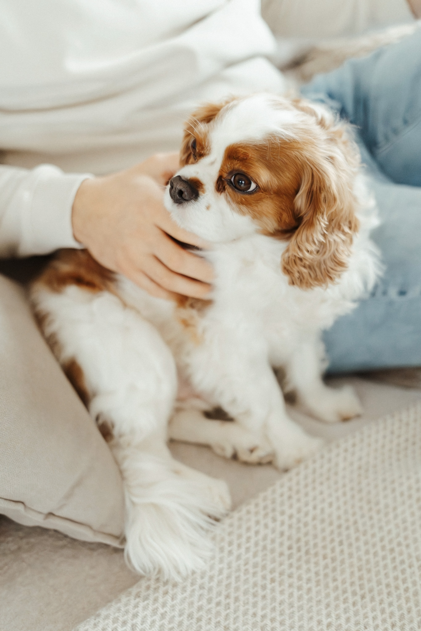 556NewbornFotograafPetitLoupLemmer